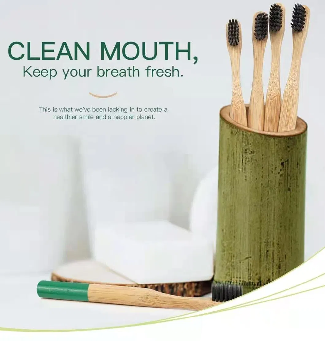 Adult Personal Care Newest Cheaper Price Bamboo Toothbrush for Travel